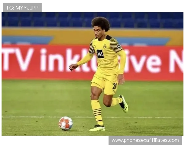 维特塞尔加盟西甲新东家，中场实力持续提升