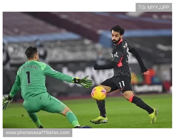 萨卡德转市场价值变动：身价持续提升，走势清晰