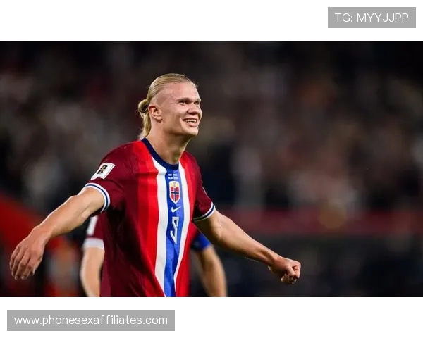 世界杯欧洲区预选赛哈兰德