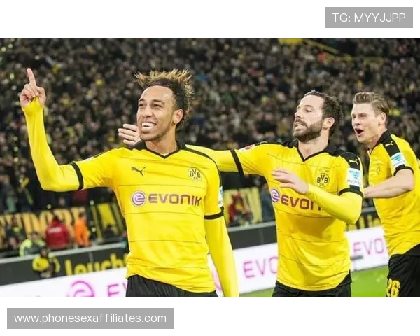 凯恩与奥巴梅扬进球效率对比：数据与终结方式解析